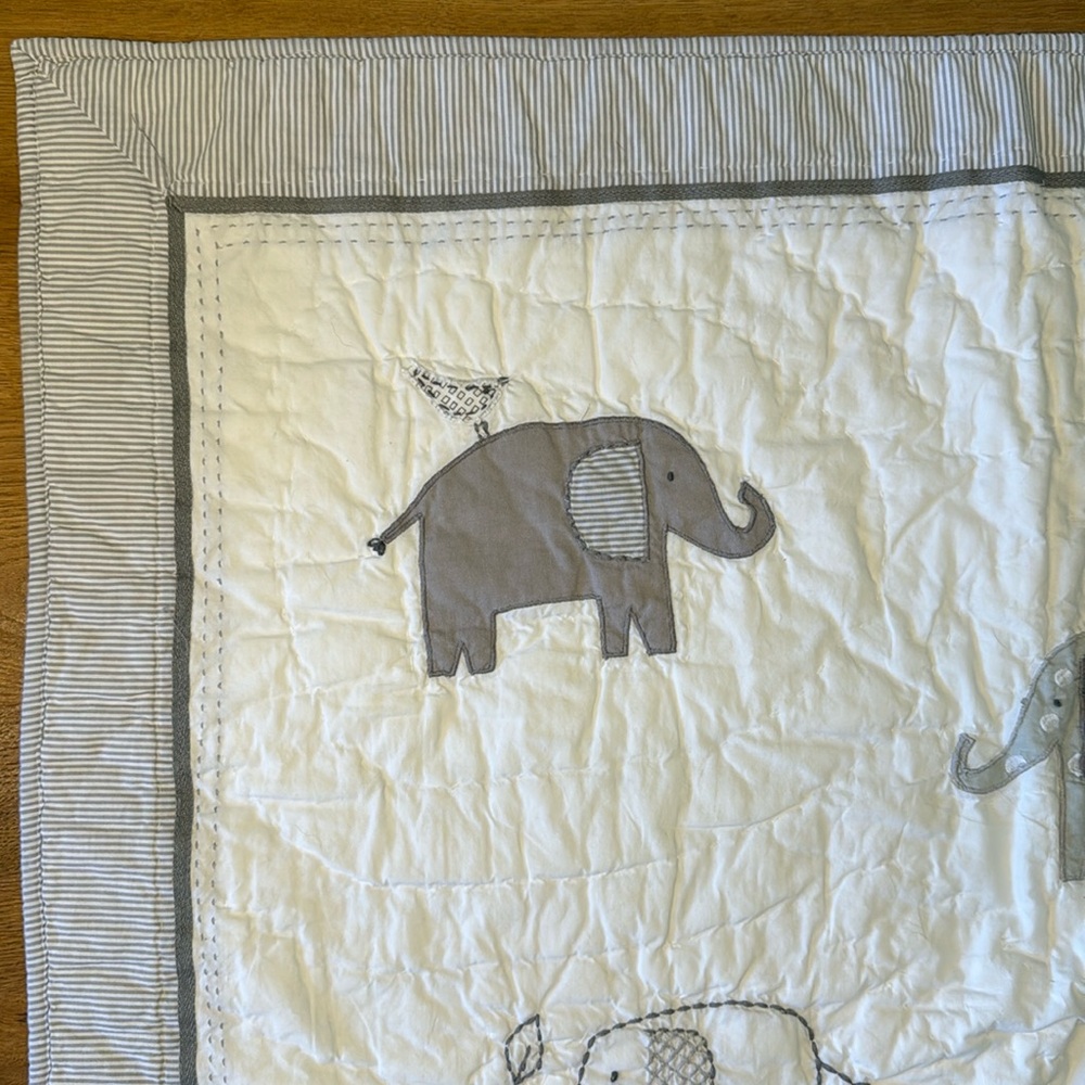 EUC Pottery Barn Baby/Kids Taylor Quilt